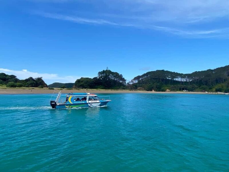 Hole in the Rock Tour & Bay of Islands Cruise - Frequently Asked Questions