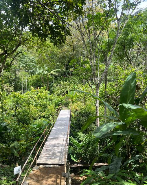 Holistic Retreat ; Cacao Cermony and Cacao Trail - Location Overview