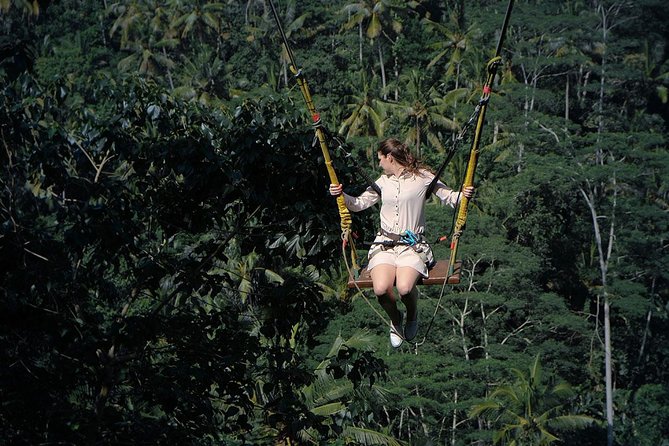 Holly Water Healing With Bali Swing & Rice Terrace Private Bali Tour - Itinerary Details