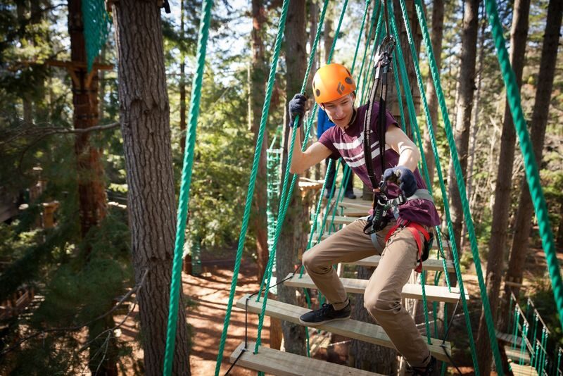 Hollybank Zipline, Segway, and Tree Ropes in Launceston - Start at the desk, then learn the safety basics