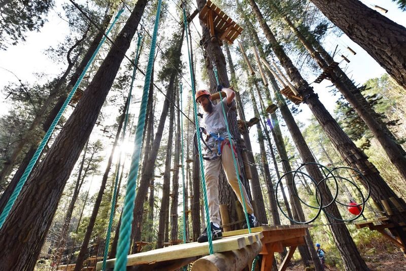 Hollybank Zipline, Segway, and Tree Ropes in Launceston - Take on the ropes at your own level