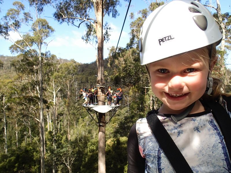 Hollybank Zipline, Segway, and Tree Ropes in Launceston - Weigh the price against the time and effort