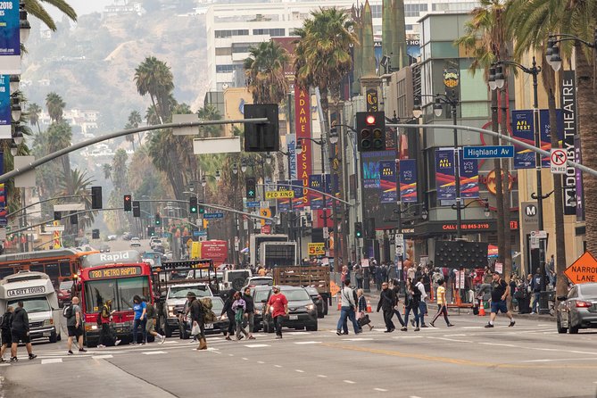 Hollywood Sightseeing and Celebrity Homes Tour by Open Bus Tours - The Sum Up