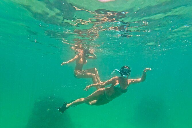 Hollywood Snorkel, Kayak & Paddleboard with Reefs and Sculptures - Frequently Asked Questions