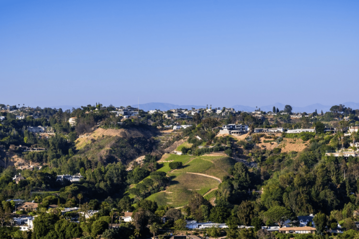 Hollywood Stars: Celebrity Homes Driving Tour Bundle - Good To Know