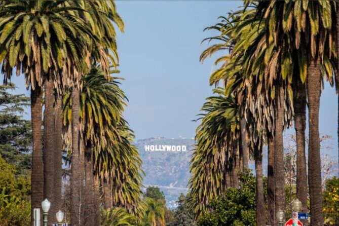 Hollywood Walk OF Fame Experience and Sightseeing - Who Should Book This Tour?