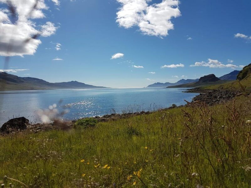 Hólmanes: Guided Nature Walk - The Practical Side: What’s Included & What Not
