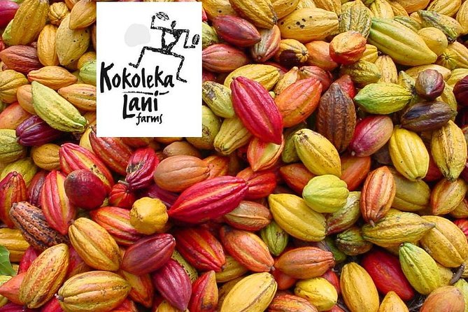 Holualoa Coffee and Chocolate Plantation 2-hour Guided Tour  - Big Island of Hawaii - Viator Help Center