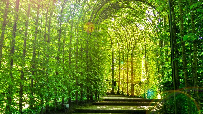Holy Island, Alnwick Castle & Northumbria Tour from Edinburgh - A day from Edinburgh to the tidal coast