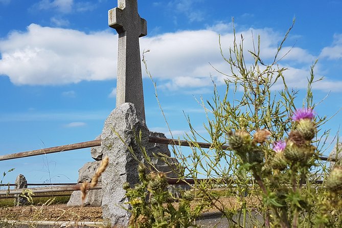 Holy Island, Alnwick Castle & the Kingdom of Northumbria From Edinburgh - Tour Overview and Itinerary