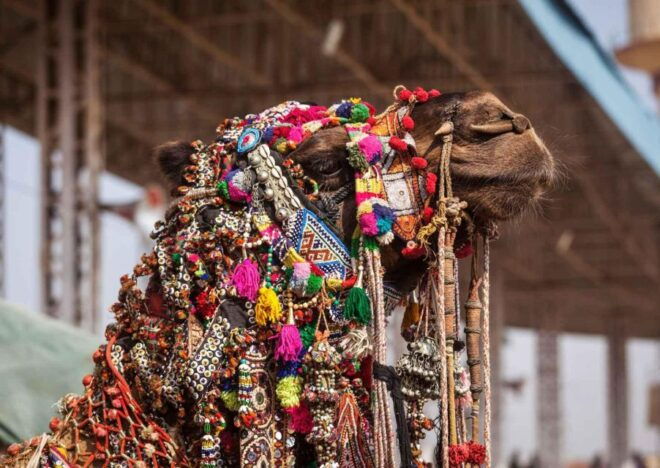 Holy Pushkar and Ajmer Trails (Guided Full Day Tour) - Directions