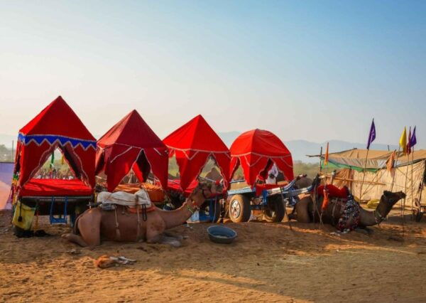 Holy Pushkar and Ajmer Trails (Guided Full Day Tour) - Booking Information