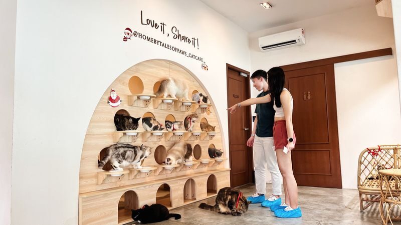 HOME by Tales Of Paws Ticket (Cat Cafe) in Johor Bahru - What the space feels like