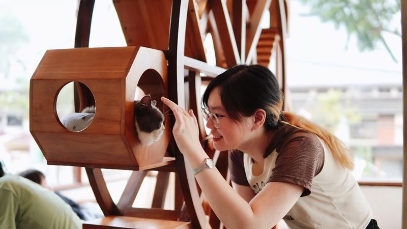 HOME by Tales Of Paws Ticket (Cat Cafe) in Johor Bahru - Should you book HOME by Tales Of Paws?