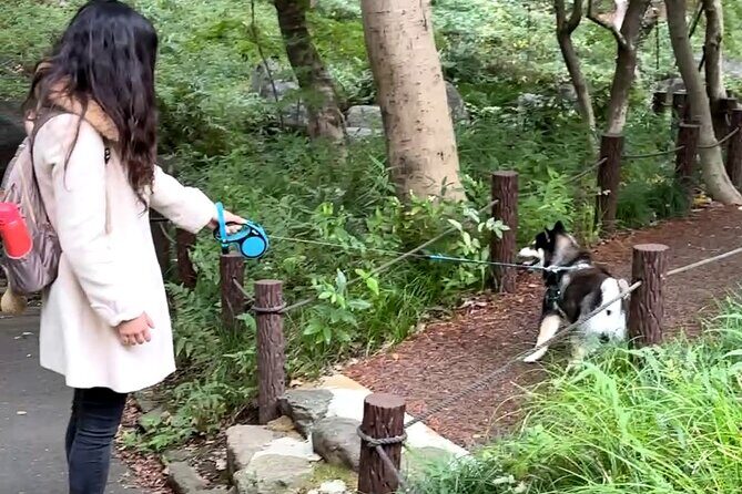 Home Cooking with a Local Host (Optional Shiba Inu Picnic) - Post-Experience: Souvenir and Photos