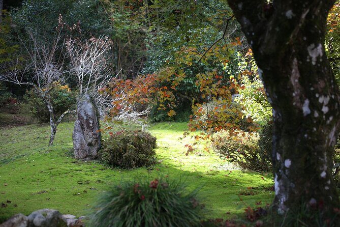 Home Experience: Tea Ceremony & Moss Garden Walk(Day trip) - Final Thoughts: A Memorable Day in Rural Hiroshima