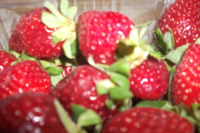 Home Made Greek Yogurt Class - Common Questions About Homemade Greek Yogurt