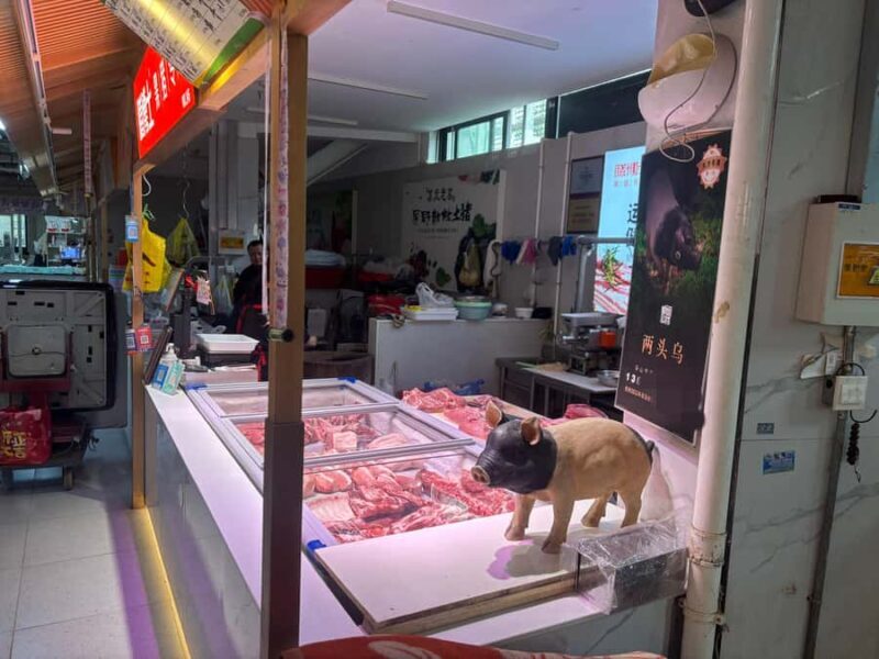 Home Visit Shanghai: Conversation & Homemade Food - Practical Details and What to Expect