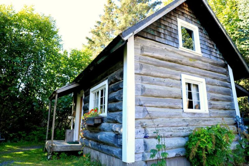 Homer: Pratt Museum Admission Ticket - The Experience: What to Expect at the Pratt Museum  