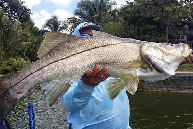 Homosassa Inshore Fishing Charters - Good To Know
