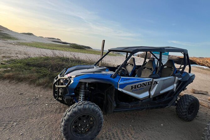 Honda Tallon 4 seat rental - What Reviewers Are Saying