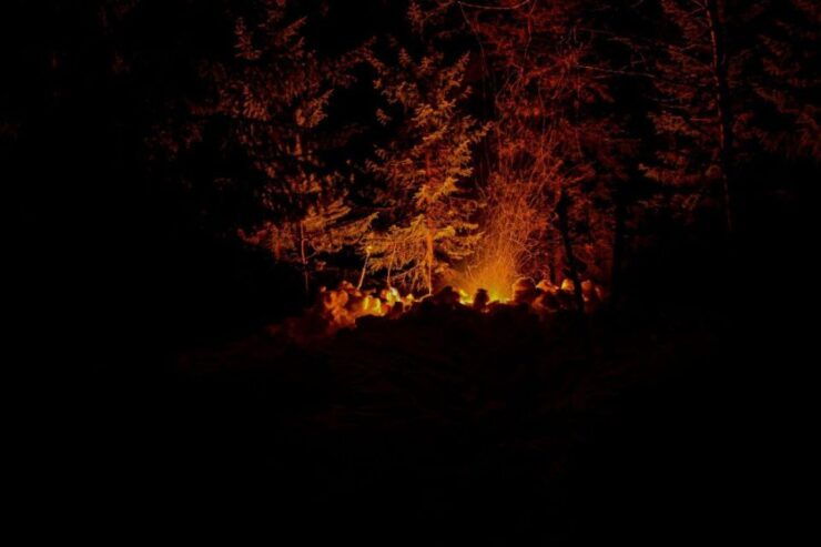 Hønefoss: Bonfire and Snowshoeing in Nordmarka - Activity Duration and Guide Availability