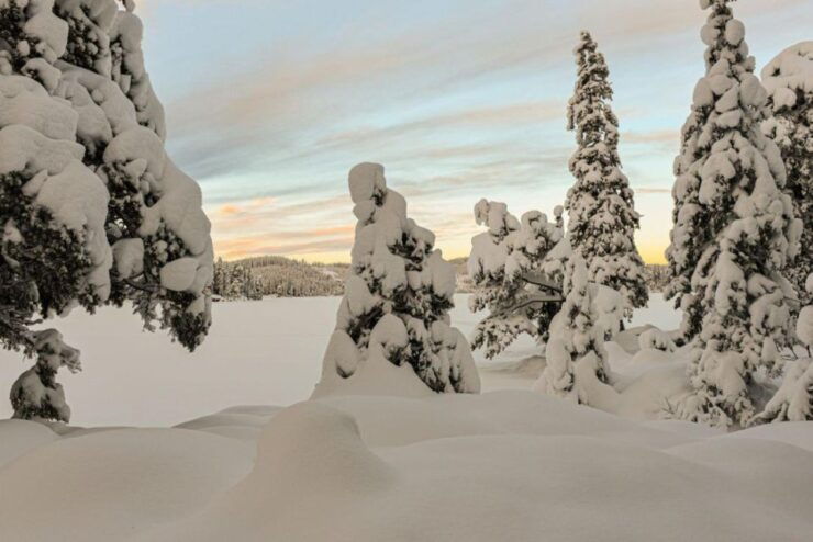 Hønefoss: Bonfire and Snowshoeing in Nordmarka - Experience Highlights in Nordmarka
