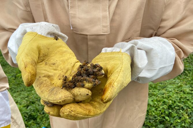 Honey Bee Adventure at the Maui Honey Bee Sanctuary - Cancellation Policy