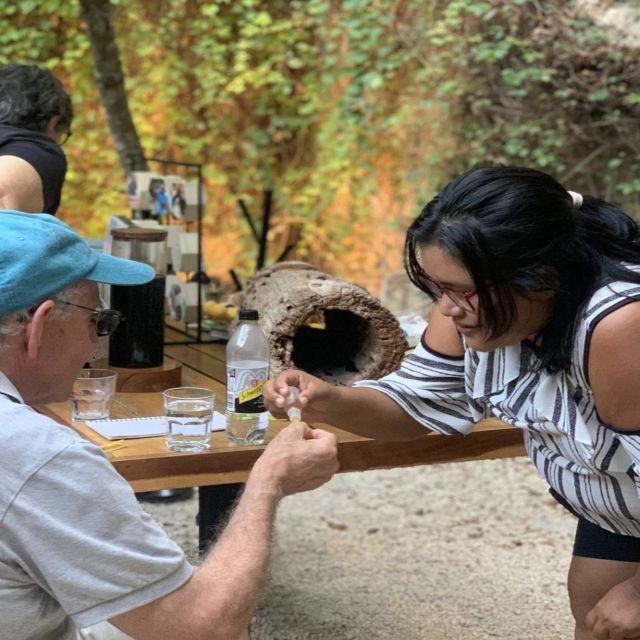 Honey Tasting Stingless Bees From Merida, Yucatan - Experience Highlights