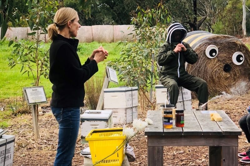 Honeybee Discovery Session - Key points to know before you go