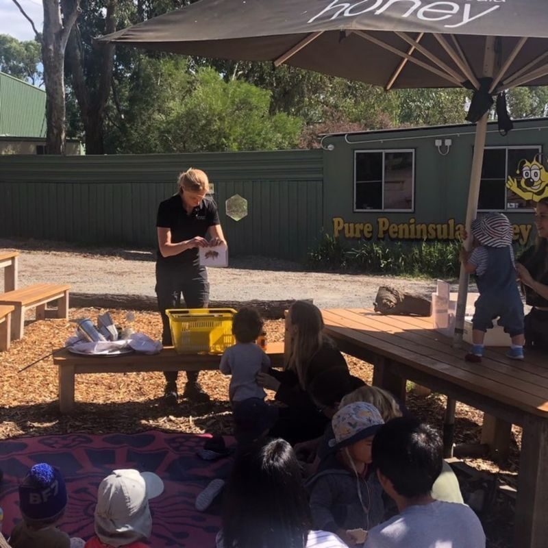 Honeybee Discovery Session - What the session is, and what it is not
