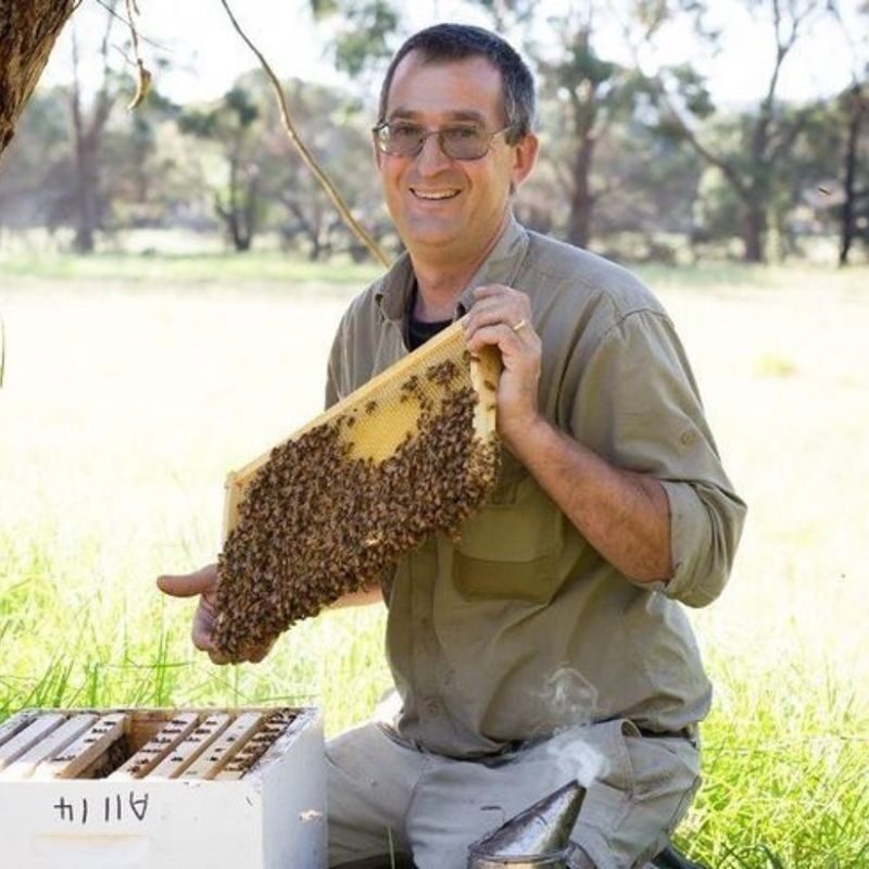 Honeybee Discovery Session - Honey tasting and the Yellow Box offer