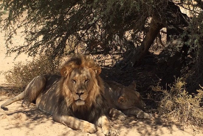 Honeymoon 8 Days Vacation - Booking Price Information