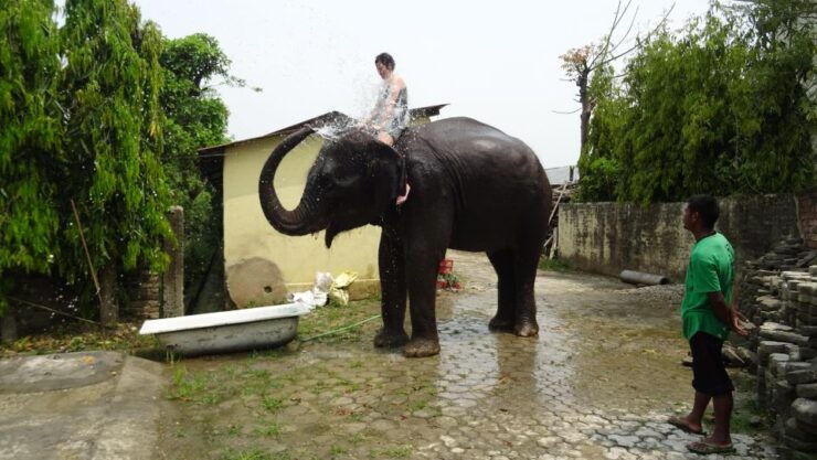 Honeymoon Tour in Nepal - Booking Details and Flexibility