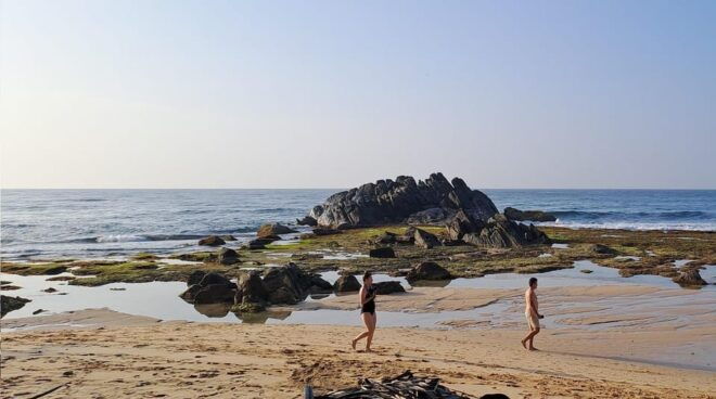 Honeymoon Tour Package Sri Lanka - 10 Days - Transportation Options