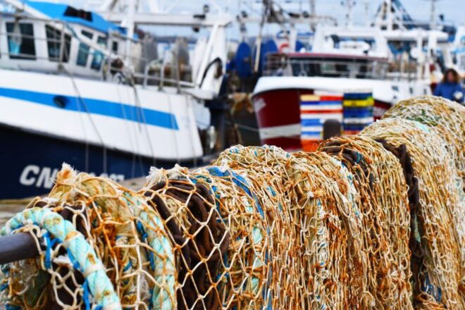 Honfleur: 1.5-Hour City Highlights Walking Tour - Traveler Experience