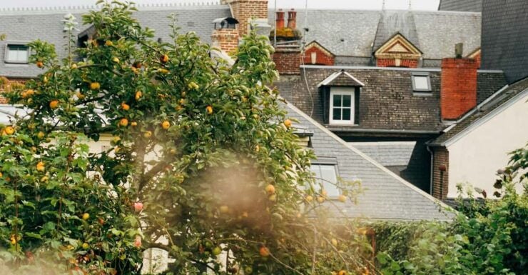 Honfleur: Private Guided Walking Tour With Local Guide - Cultural and Historical Insights