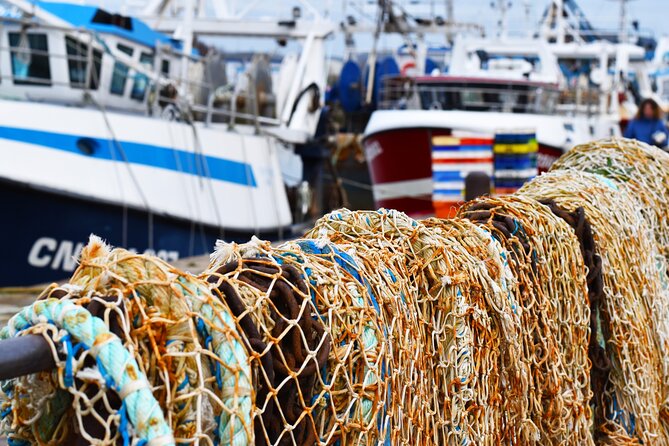 Honfleur Private Walking Tour - The Sum Up