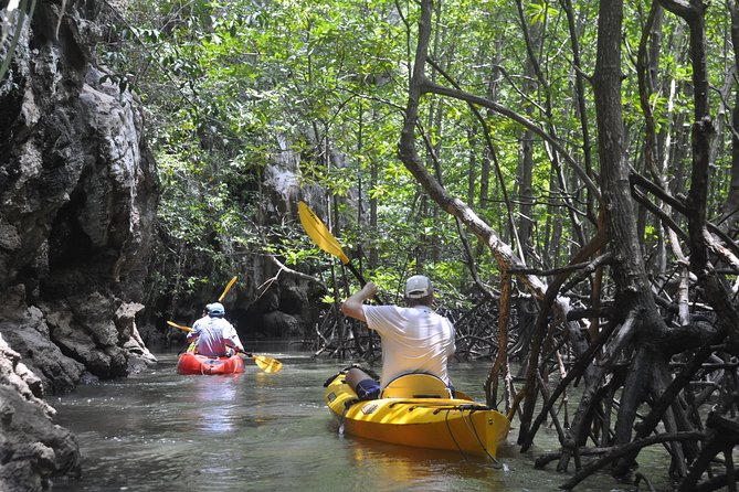 Hong by Starlight John Grays Sea Canoe - Help Center and Product Code