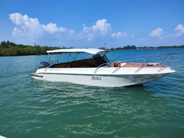 Hong Islands & 4 Islands Private Trip By Speed Boat - Additional Activities Available