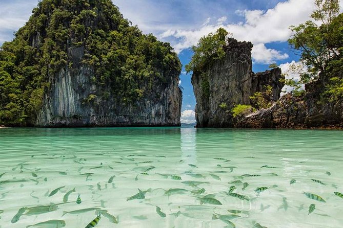Hong Islands One Day Tour From Krabi - Customer Feedback and Reviews