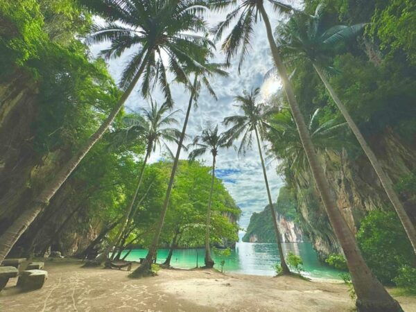 Hong Islands One Day Tour Plus Panoramic View - Break Down