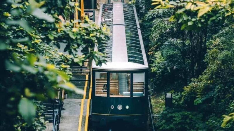 Hong Kong: City Highlights Tour with Peak Tram Ride - The Sum Up: Who Is This Tour Best For?