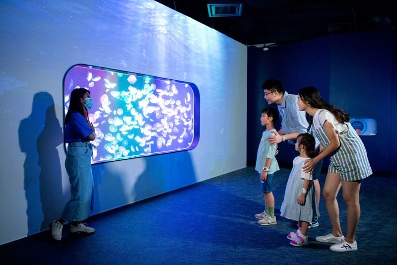 Hong Kong Cube O Discovery Park Ticket - Key points to know before you go
