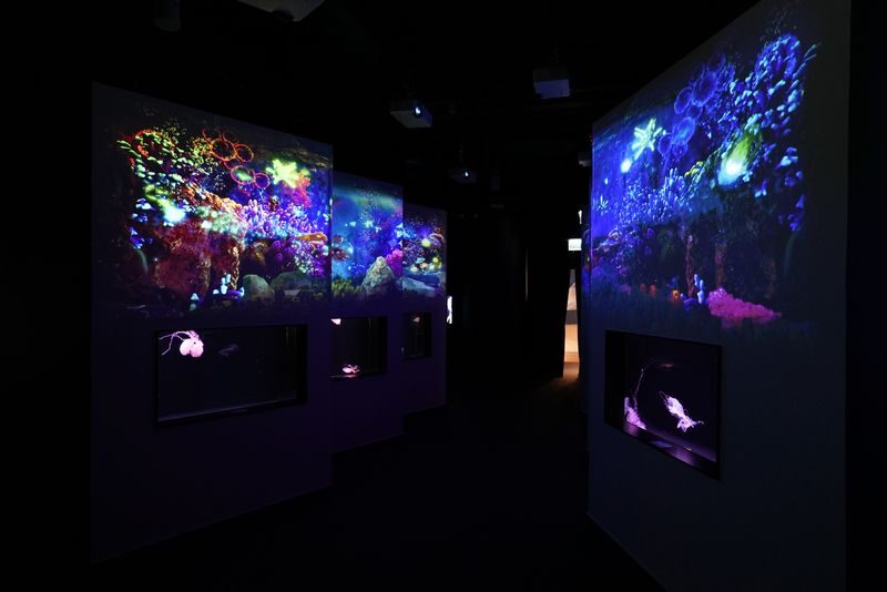 Hong Kong Cube O Discovery Park Ticket - A compact ocean outing, not a full-scale aquarium