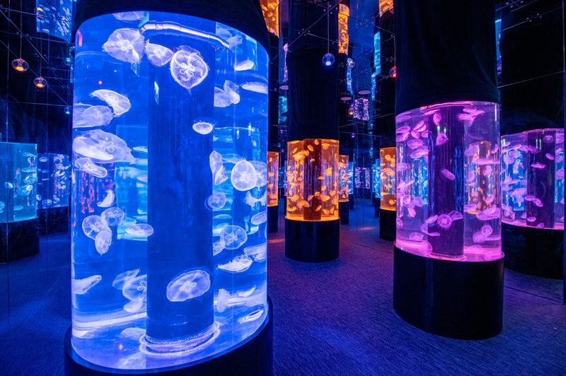 Hong Kong Cube O Discovery Park Ticket - VR, MR and play between exhibits