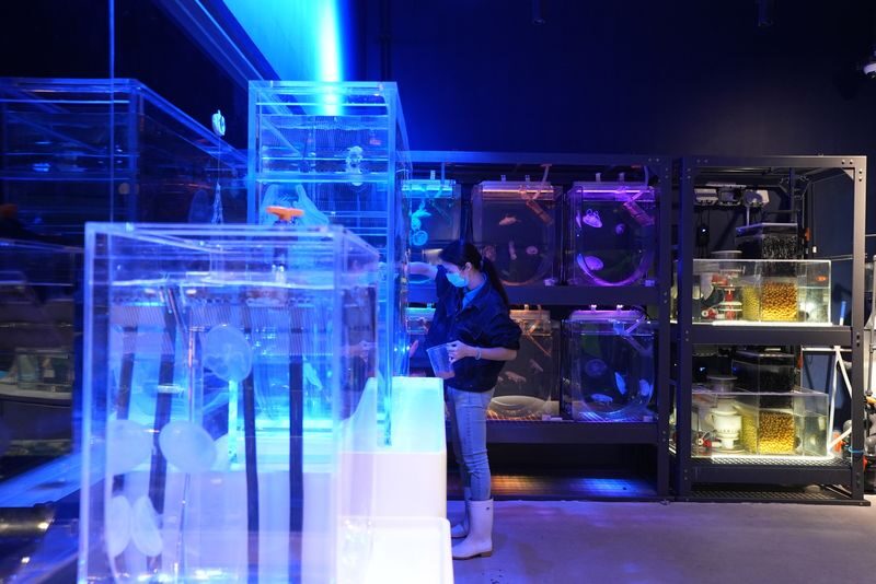Hong Kong Cube O Discovery Park Ticket - Getting there and planning your visit