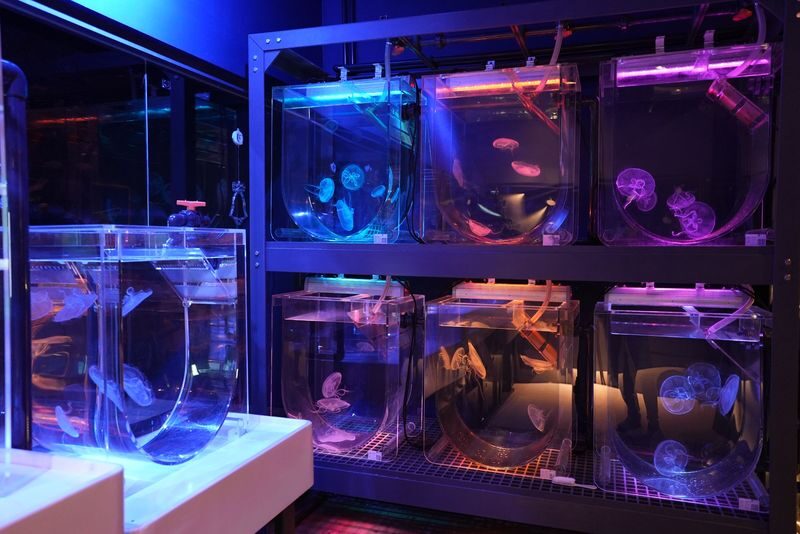 Hong Kong Cube O Discovery Park Ticket - Should you book?