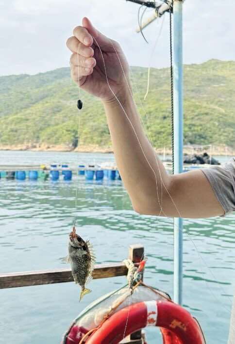 Hong Kong Fishermans Wharf Ticket | Enjoy a boat tour of Aberdeen Fishing Village, savor fresh seafood, visit the floating houseboat, try pier fishing, and experience the unique fishing culture of Hong Kong! - The Aberdeen Houseboat and the lives it represents