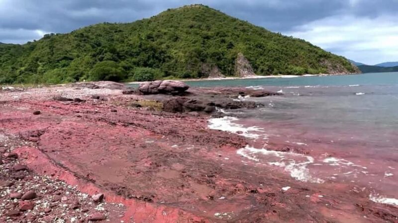 Hong Kong: Geopark Flaming Red Coast Hopping Tour - The Sum Up